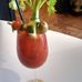bloody mary